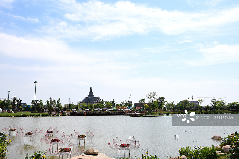 盐城大丰荷兰花海景区图片素材