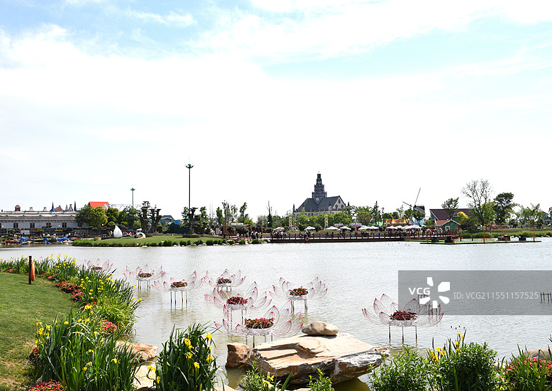 盐城大丰荷兰花海景区图片素材