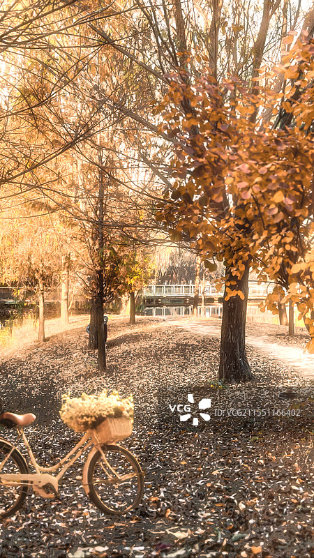 秋天的景色图片素材