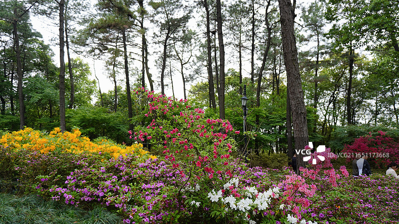 杭州临平公园图片素材