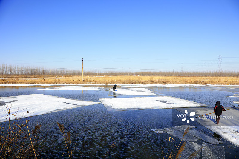河北滦南县储冰农民从不同方向用长杆滑动冰块图片素材