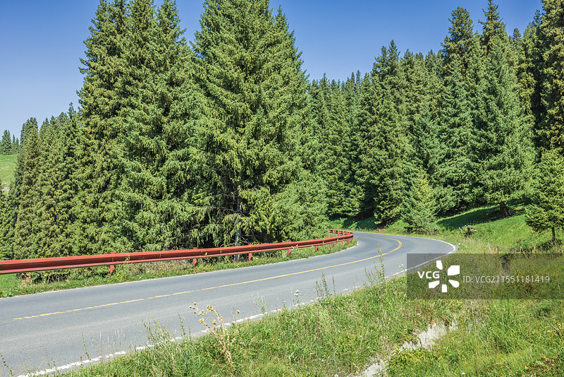 山间蜿蜒公路与茂密森林自然风光图片素材