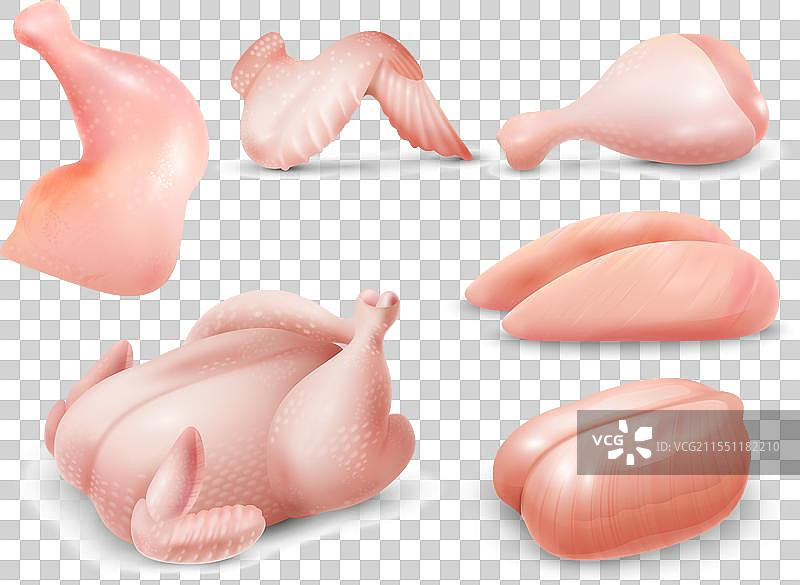 逼真的鸡肉套装图片素材