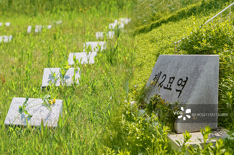 韩国坡州志愿军墓地图片素材
