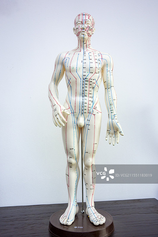 针灸穴位图图片素材