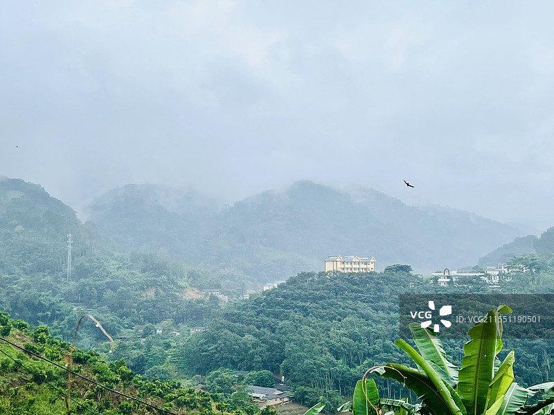 2024年11月6日云南西双版纳基诺山区雨后烟雾缭绕的翠绿山景图片素材