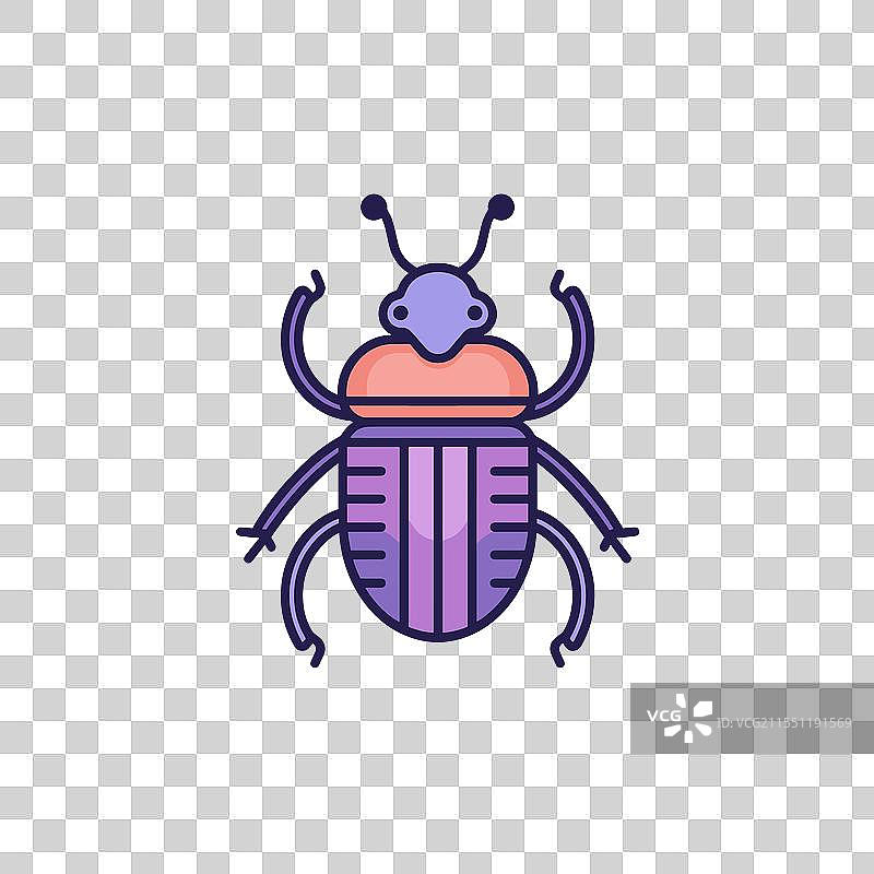 色彩斑斓的昆虫，具有紫色和橙色的特征图片素材