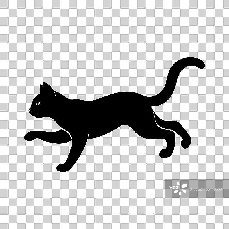 跳跃和奔跑中的猫的剪影图片素材