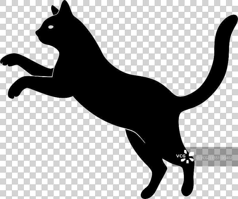 跳跃和奔跑中的猫的剪影图片素材