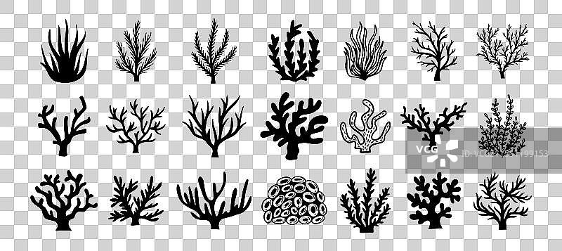 黑色抽象海藻珊瑚剪影图标图片素材