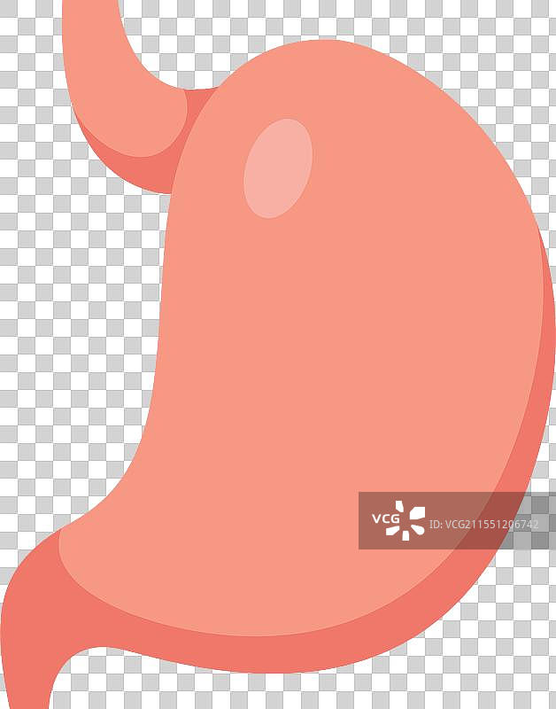 促进良好消化的健康肠胃图片素材