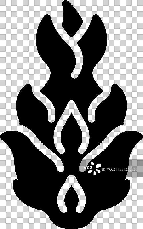 火龙果图片素材