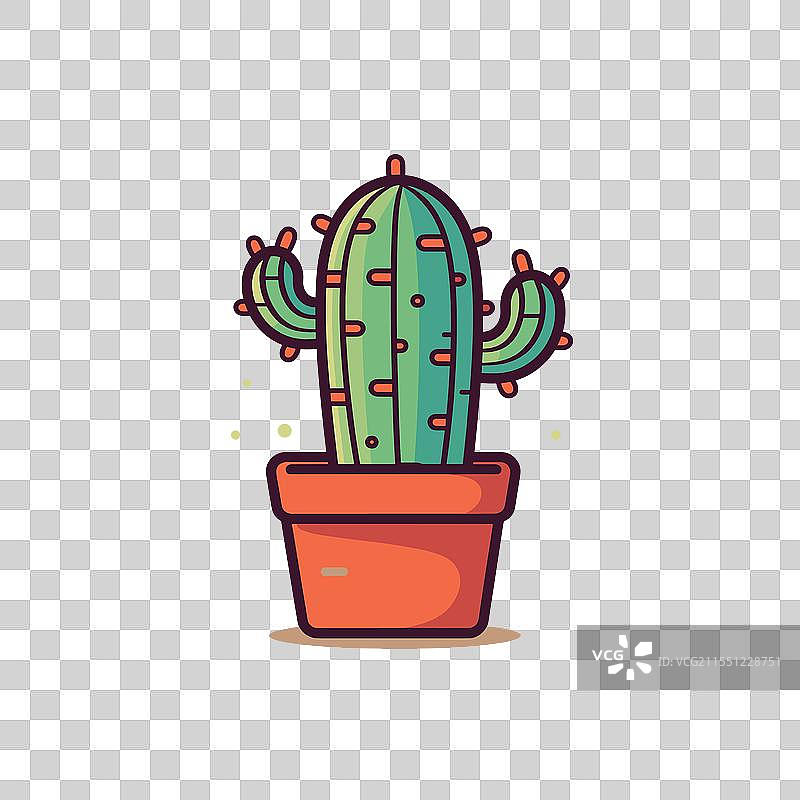 装饰性仙人掌盆栽为环境增添魅力图片素材