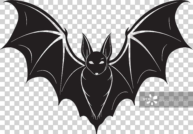 凶猛的飞行蝙蝠剪影图片素材