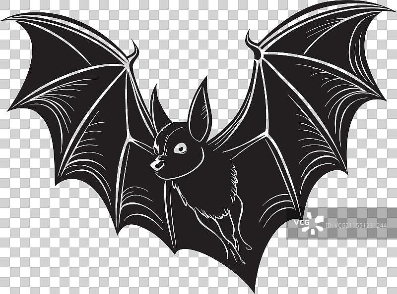 凶猛的飞行蝙蝠剪影图片素材