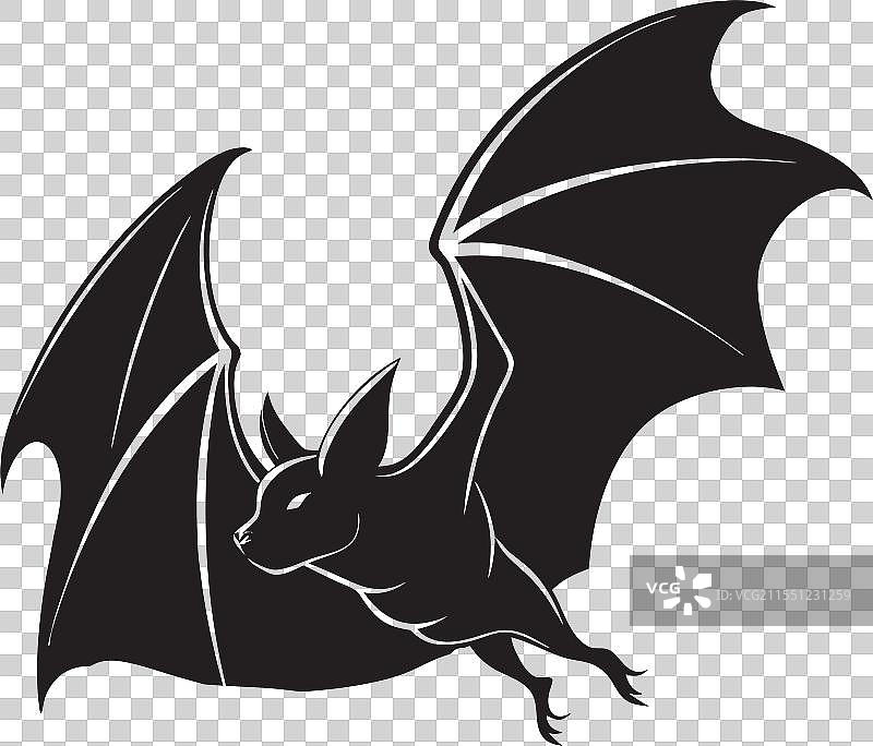 凶猛的飞行蝙蝠剪影图片素材