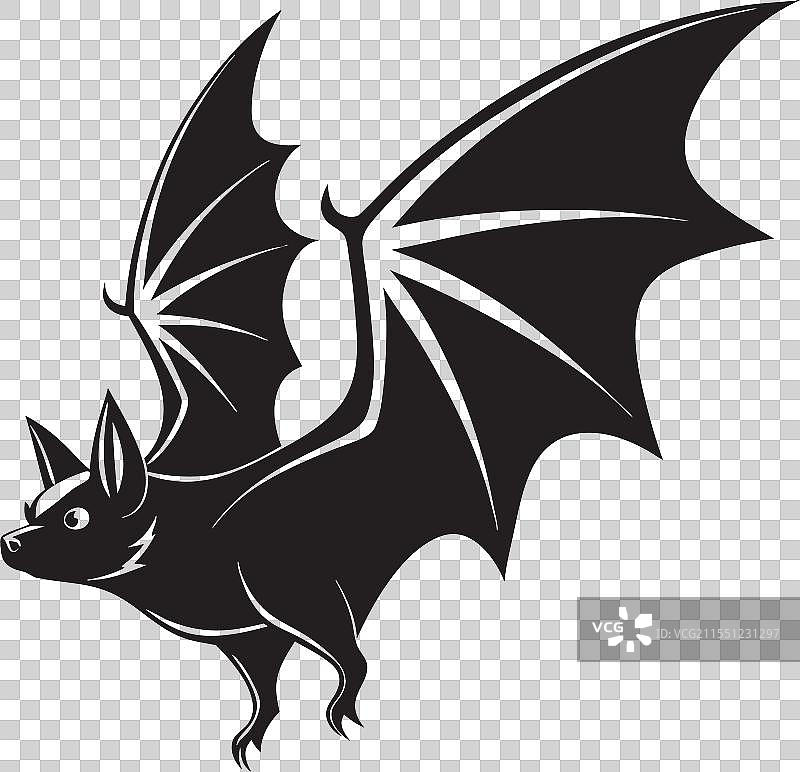 凶猛的飞行蝙蝠剪影图片素材