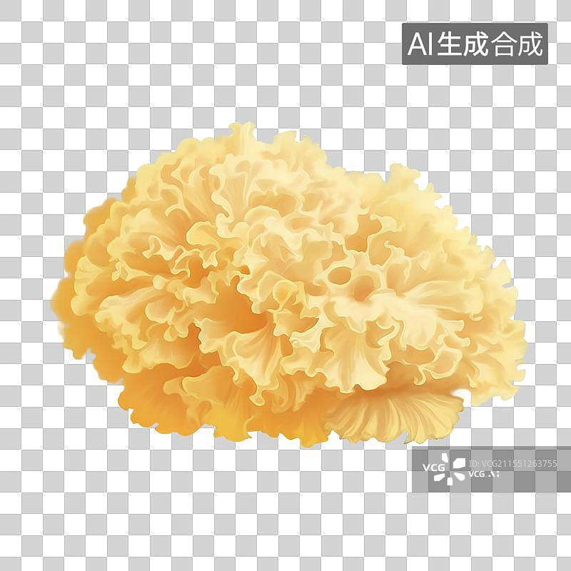 【AI数字艺术】国风手绘插画，银耳，菌类食材，食用菌，蔬菜，免抠元素图片素材