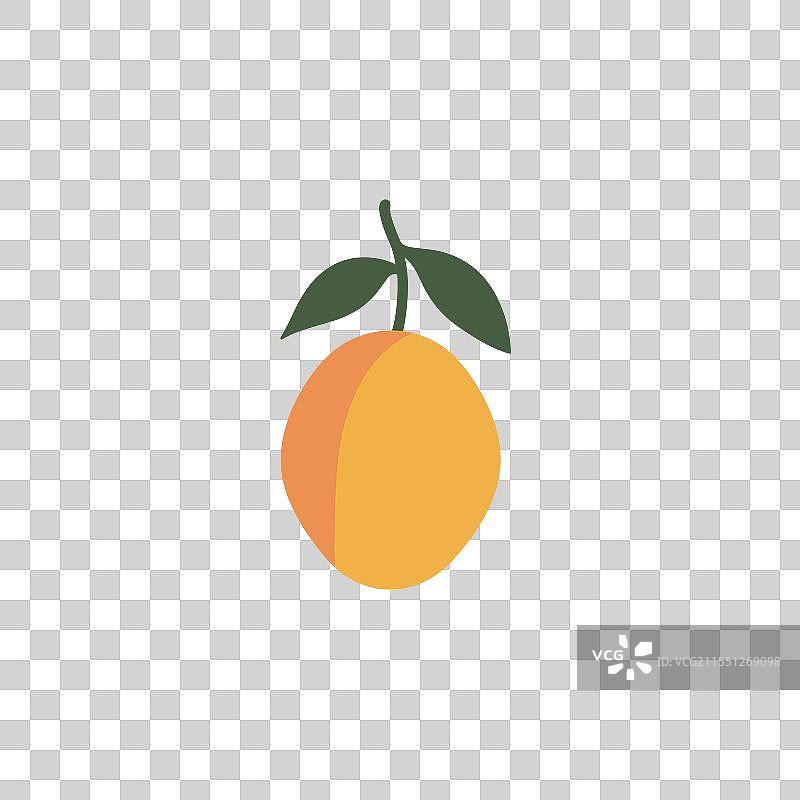 鲜艳的橙色芒果与绿色叶子一起展示图片素材