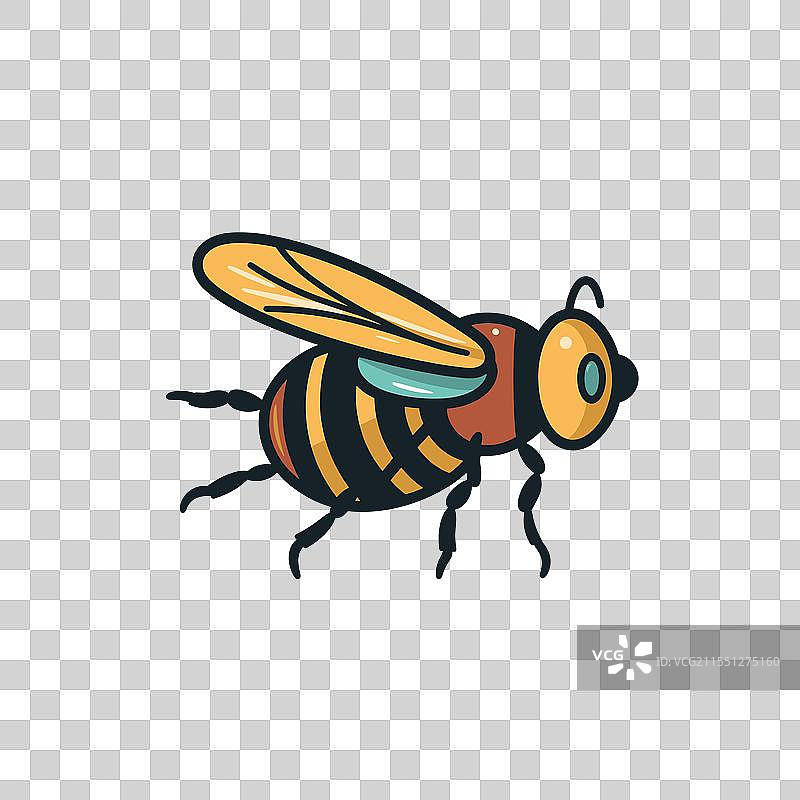 飞行中的五彩斑斓的蜜蜂图片素材