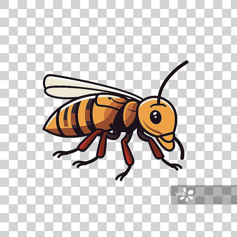 色彩斑斓的卡通蜜蜂，特征夸张图片素材