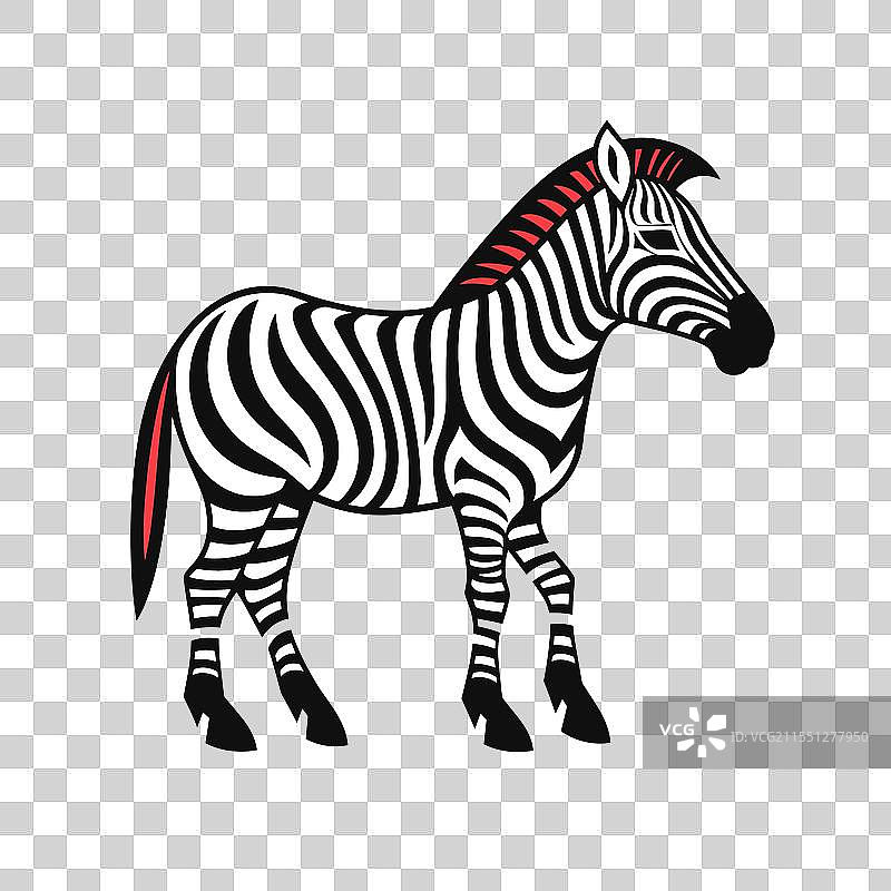 大胆黑白条纹的创意斑马图片素材