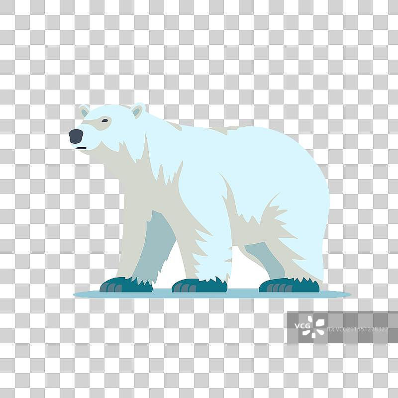 北极熊在明亮的冰面上行走图片素材