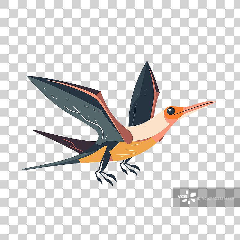 色彩斑斓的飞鸟展翅高飞图片素材