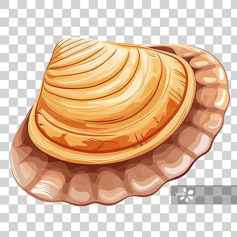 美丽的海螺静静地躺在沙滩上图片素材