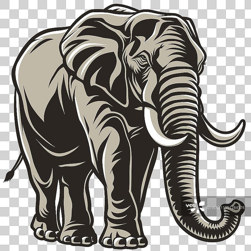 雄伟的大象在草原上漫步图片素材