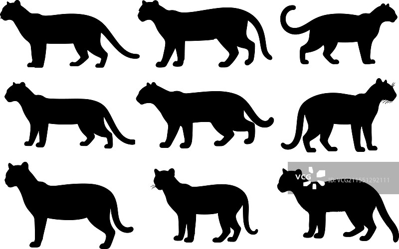 美洲豹猫的实心轮廓图片素材