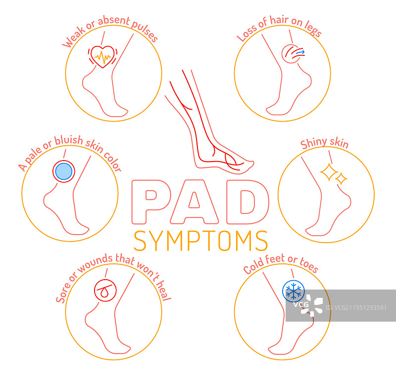 血管健康垫早期检测血液图片素材