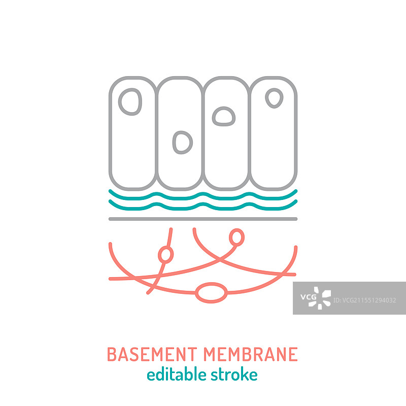 结缔组织线条图标 胶原蛋白护肤图片素材