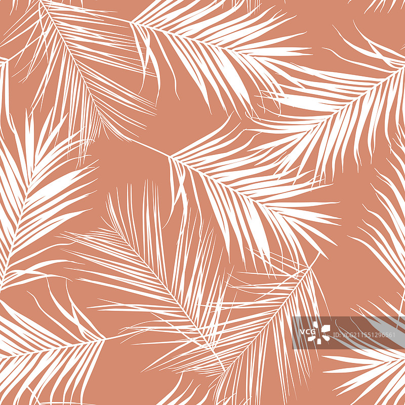 米色、棕色和白色的棕榈树叶图片素材