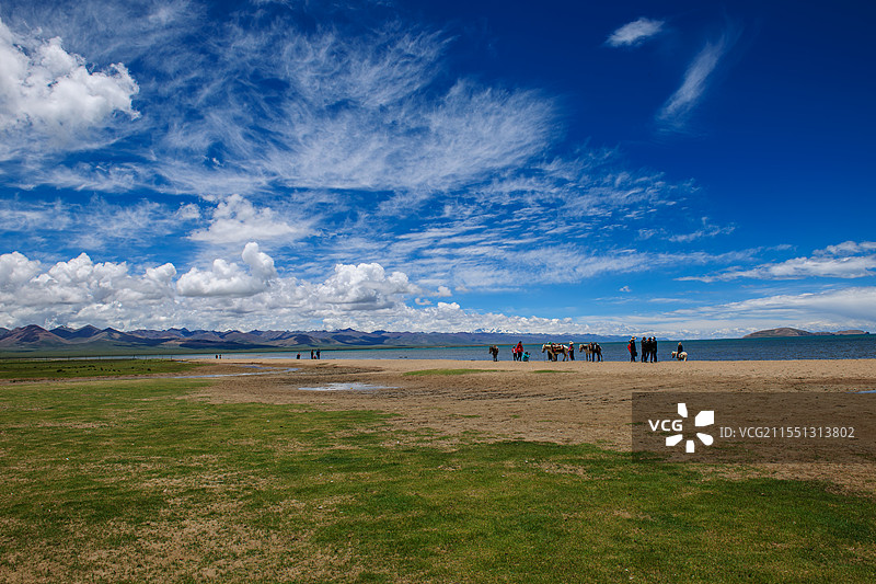 纳木错之夏图片素材
