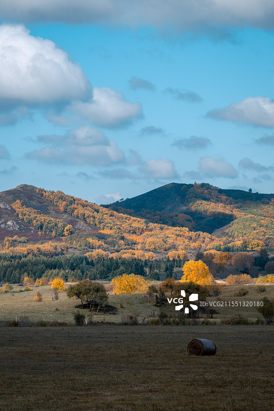 内蒙古自治区赤峰市乌兰布统大草原秋季户外风光图片素材