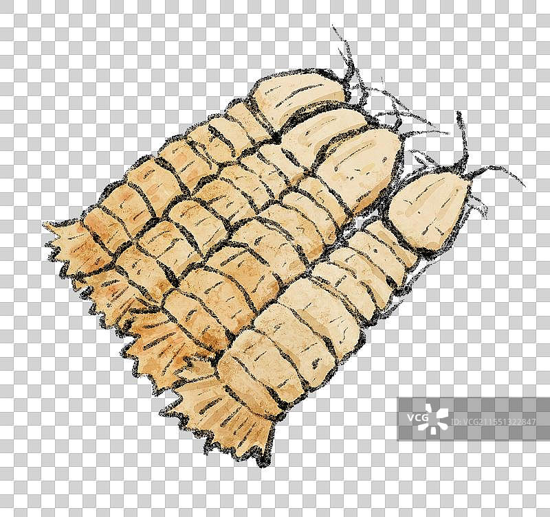 山东青岛美食国风插画-皮皮虾图片素材