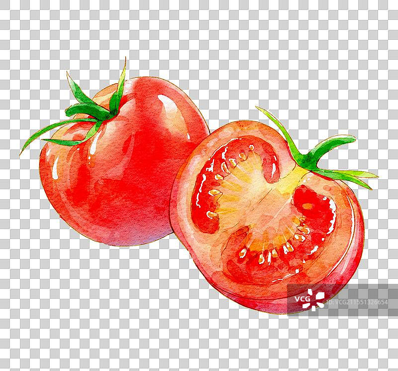 原创水彩插画之西红柿图片素材