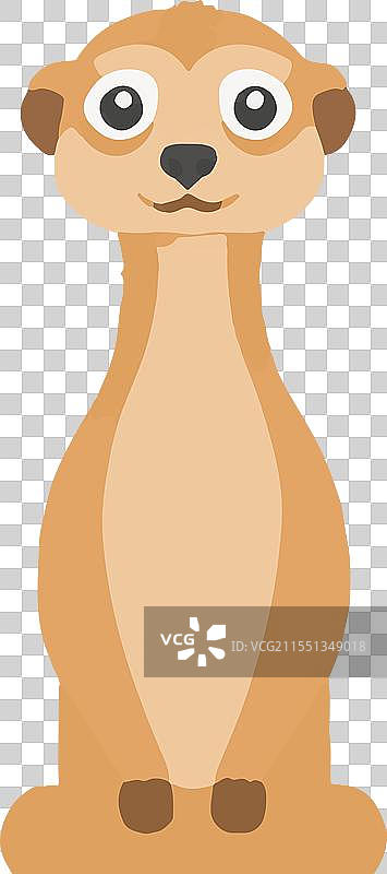 狐獴 动物 野生动物 沙漠 觅食行为图片素材