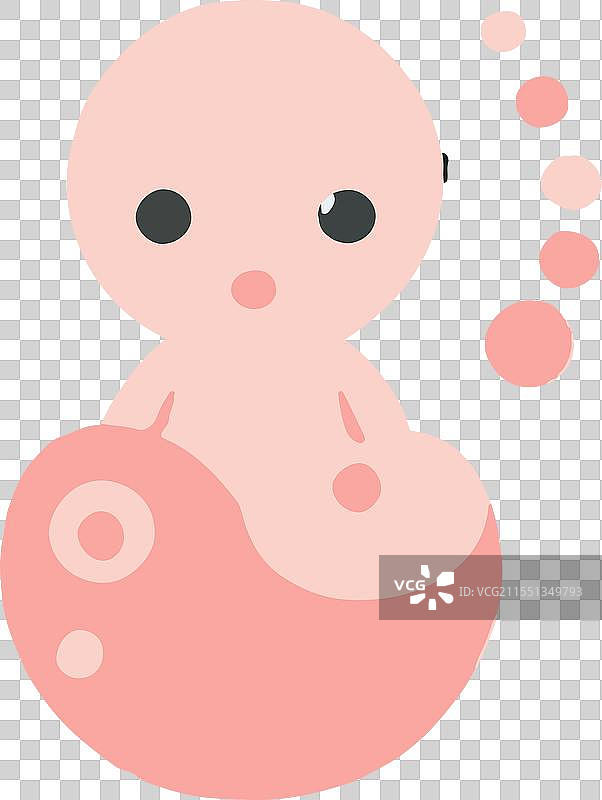 人类胎儿 人类发育 胚胎 受精卵 支持图片素材