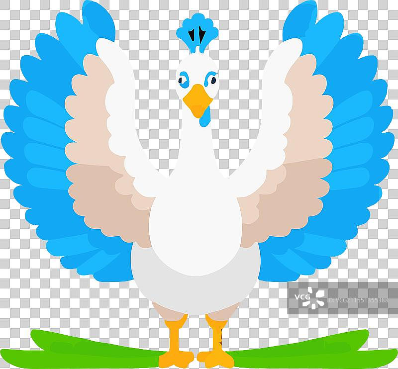 五彩斑斓的孔雀舞，展现出绚丽的美丽图片素材