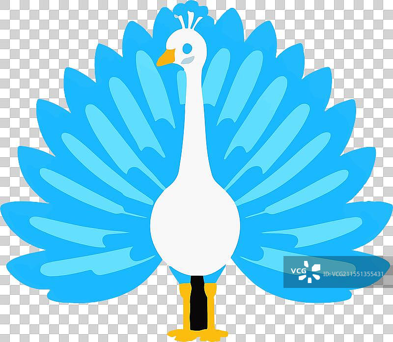 孔雀鸟羽毛五彩斑斓的神圣图案图片素材