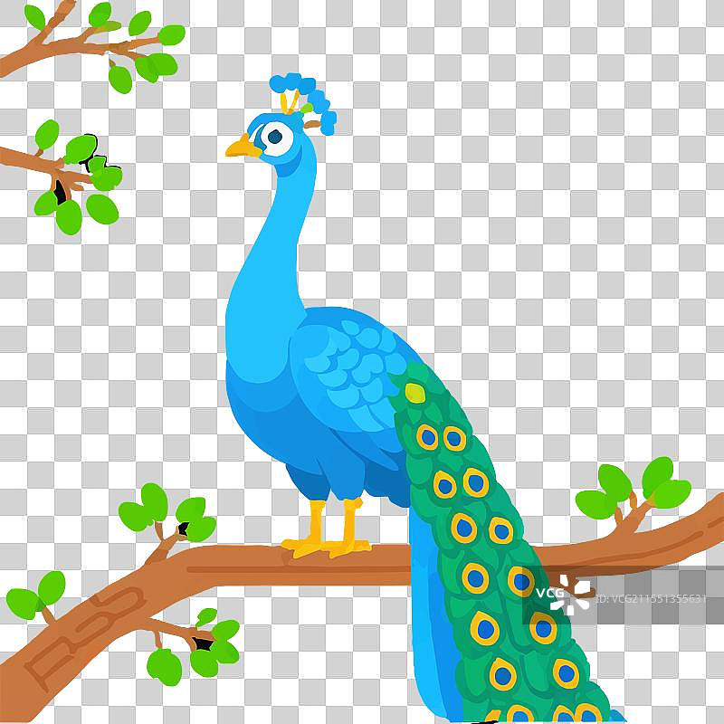 艺术鸟类优雅多彩自然之美图片素材