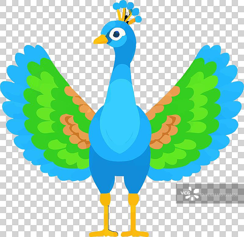 色彩斑斓的鸟羽，优雅自然图片素材