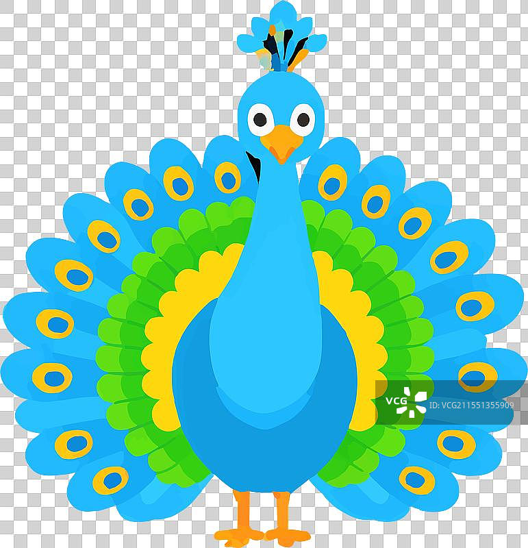 孔雀鸟羽毛优雅舞蹈自然图片素材