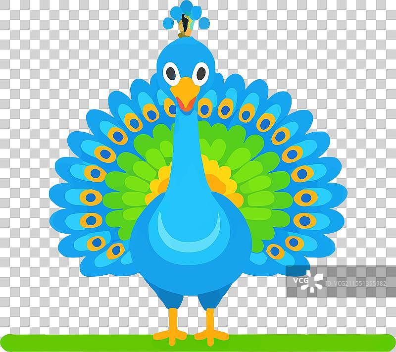 孔雀鸟 文化 故事 美丽 自然图片素材