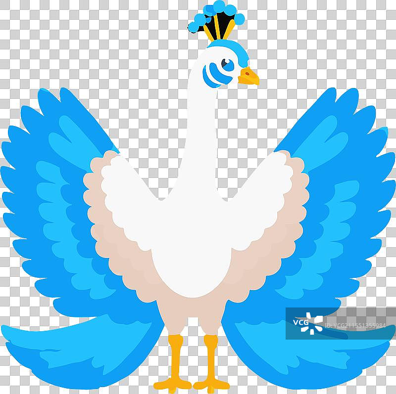 印度鸟羽毛的优雅与自然之美图片素材