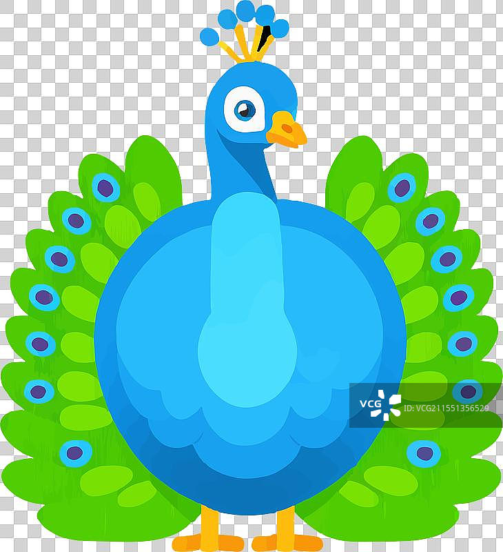 孔雀羽毛舞动的自然之美图片素材