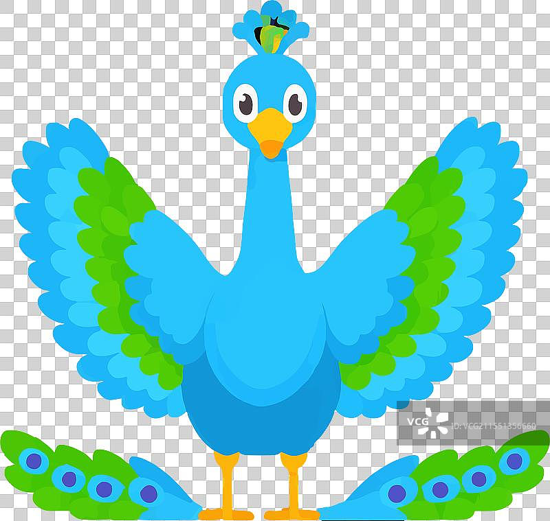 孔雀鸟羽毛图案象征自然图片素材