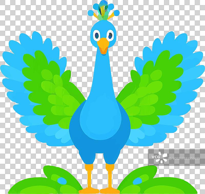 孔雀羽毛的美丽与优雅表现图片素材